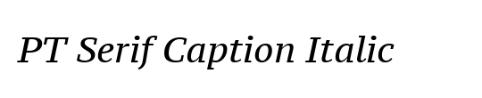 PT Serif Caption