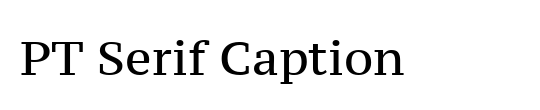 PT Serif Caption