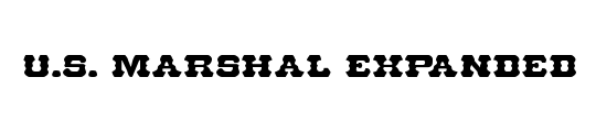 U.S. Marshal 3D Italic