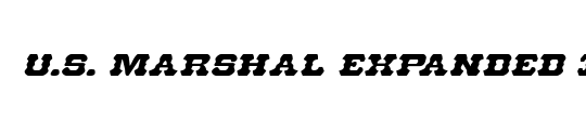 U.S. Marshal 3D Italic