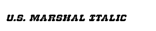 U.S. Marshal Italic