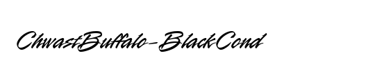 Bauer Bodoni Std Black Cond