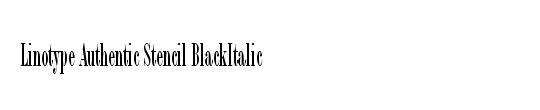 LTAuthenticSans Italic