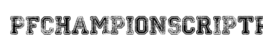 Champion