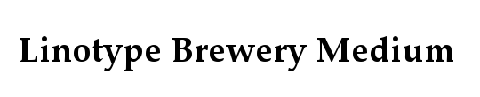 LTBrewery Medium