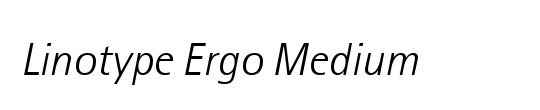 LTErgo Medium