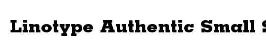 LTAuthenticSmallSerif Medium