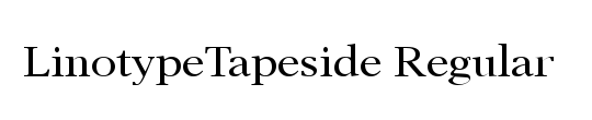 LTTapeside Regular