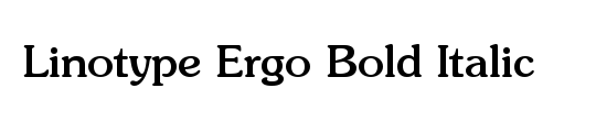 LTErgo