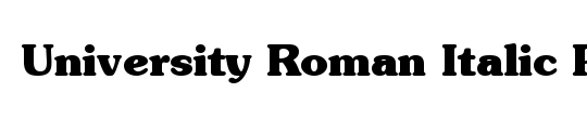 University Roman Italic