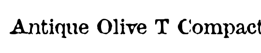Antique Olive T