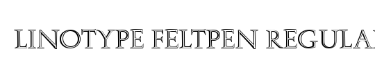 LTFeltpen Regular