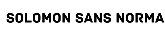 Solomon Sans Thin Italic