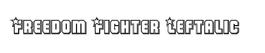 The Fighter