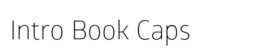 Intro Book Italic