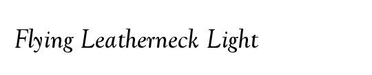 Flying Leatherneck Condensed