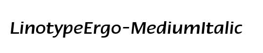 LTErgo Medium