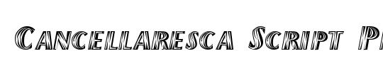 Cancellaresca Script