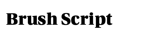 BrushScript LT