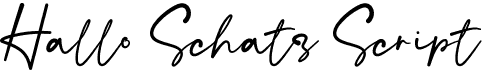 Hallo Schatz Script