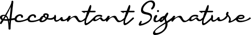 a Accountant Signature