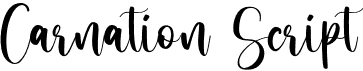 Carnation Script