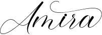 Amira Script