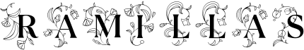 Cheshire Initials